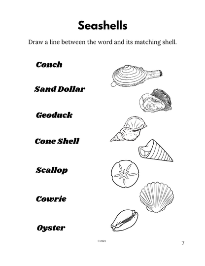 Beach Fun Activity Book PDF – 60 Pages of Mazes, Word Games, Coloring & More | Large Print for All Ages | Digital Download