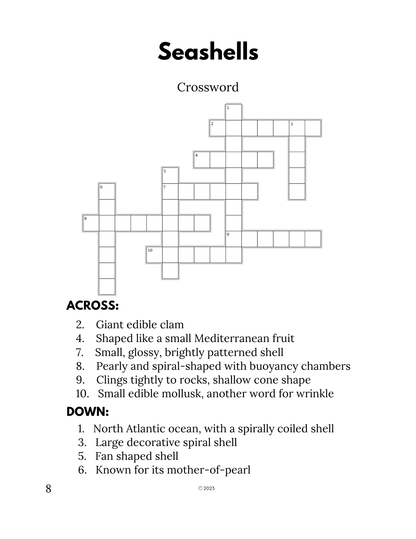 Beach Fun Activity Book PDF – 60 Pages of Mazes, Word Games, Coloring & More | Large Print for All Ages | Digital Download